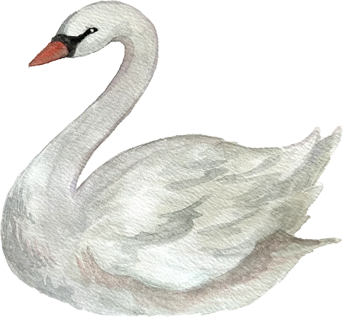 A swan carrying the sun and moon on its back
